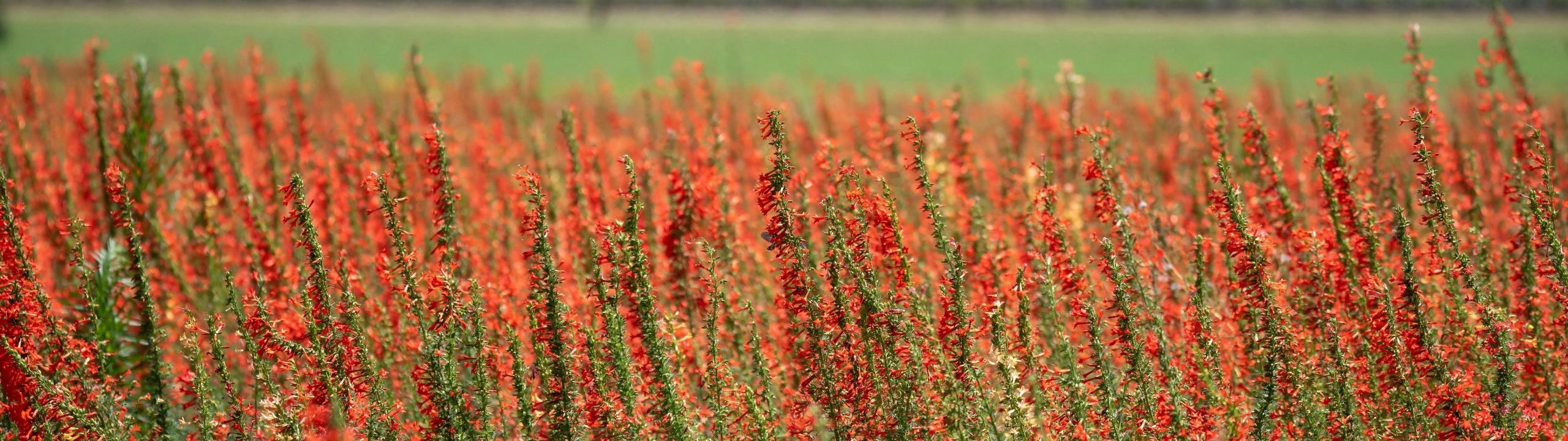 Reunión de la Sociedad de Pediatría de Aragón, La Rioja y Soria