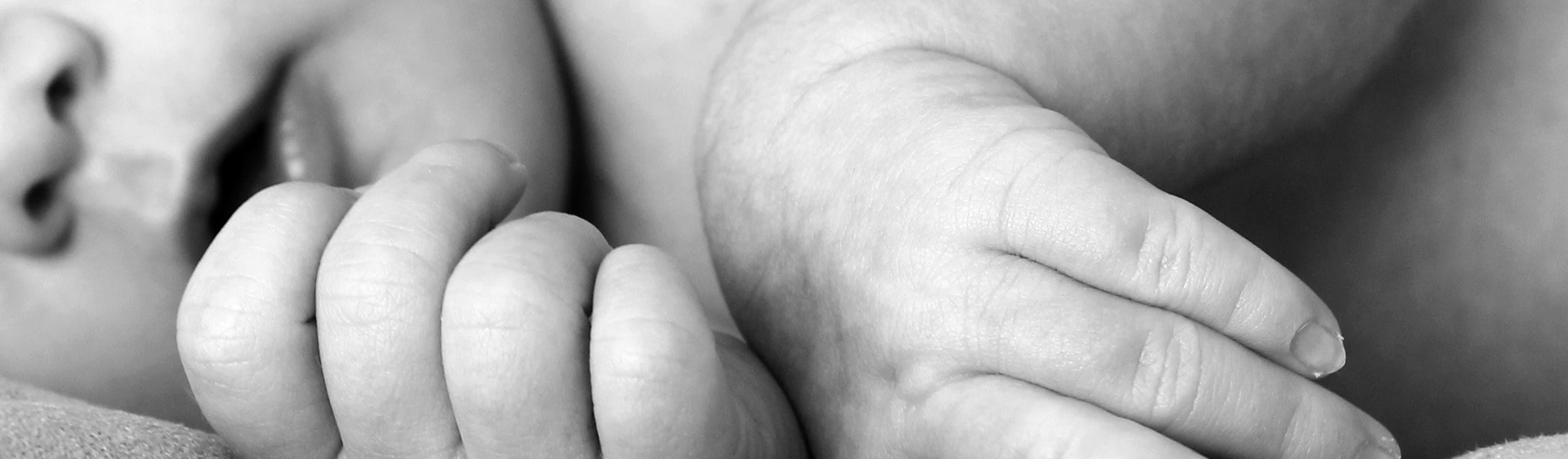 V Curso Aragonés de Actualización en Neonatología